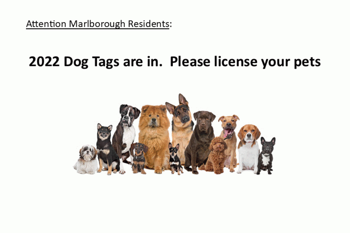 Attention Marlborough Residents:  2022 Dog Tags are in.  Please license your pets prior to May 1st to avoid penalties.
