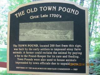Town Pond Plaque